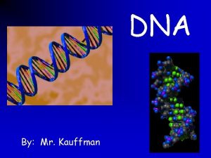 DNA By Mr Kauffman Outline DNA background information