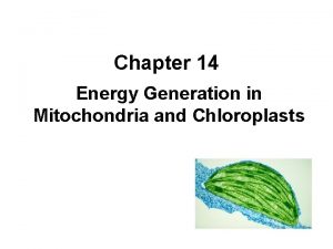 Chapter 14 Energy Generation in Mitochondria and Chloroplasts