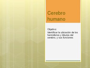 Cerebro humano Objetivo Identificar la ubicacin de los