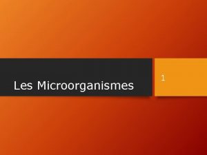Les Microorganismes 1 Dfinition dun Microorganisme 2 Driv