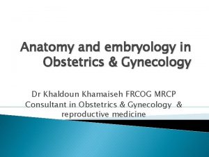 Anatomy and embryology in Obstetrics Gynecology Dr Khaldoun