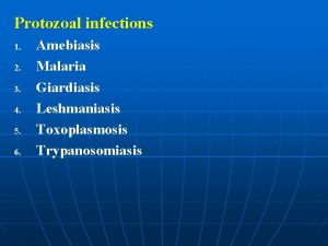 Protozoal infections 1 2 3 4 5 6