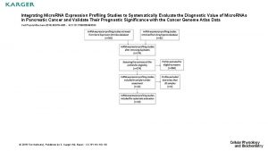 Integrating Micro RNA Expression Profiling Studies to Systematically