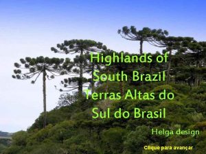 Highlands of South Brazil Terras Altas do Sul