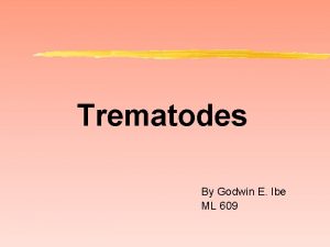 Trematode life cycle