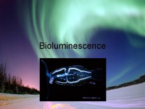 Bioluminescence What is it Light as a result