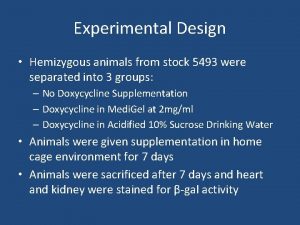 Experimental Design Hemizygous animals from stock 5493 were