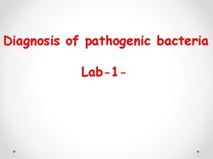 Diagnosis of pathogenic bacteria Lab1 What is Pathogenic