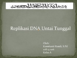 Replikasi DNA Untai Tunggal Oleh Kamrianti Ramli S