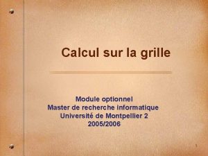 Calcul sur la grille Module optionnel Master de