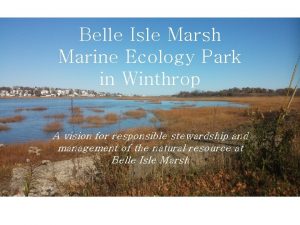 Belle Isle Marsh Marine Ecology Park in Winthrop