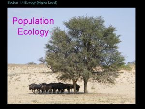 Section 1 4 Ecology Higher Level Population Ecology