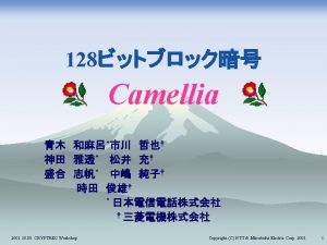 Camellia r Camellia r r r r r
