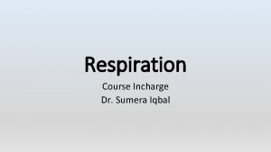 Respiration Course Incharge Dr Sumera Iqbal OVERVIEW OF