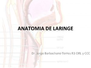 ANATOMIA DE LARINGE Dr Jorge Barbachano Torres R