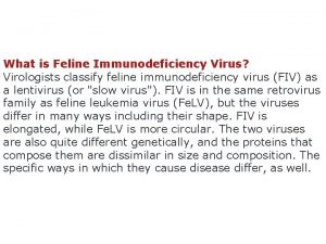 What is Feline Immunodeficiency Virus Virologists classify feline