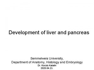 Development of liver and pancreas Semmelweis University Department