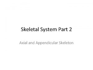 Skeletal System Part 2 Axial and Appendicular Skeleton