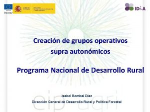 Creacin de grupos operativos supra autonmicos Programa Nacional
