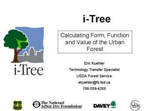 iTree Calculating Form Function and Value of the