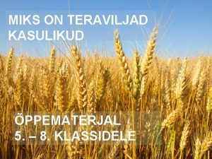 MIKS ON TERAVILJAD KASULIKUD PPEMATERJAL 5 8 KLASSIDELE