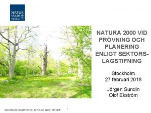 NATURA 2000 VID PRVNING OCH PLANERING ENLIGT SEKTORSLAGSTIFNING