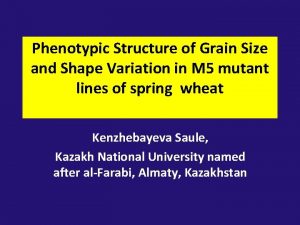 Phenotypic Structure of Grain Size and Shape Variation