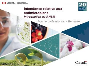 Intendance relative aux antimicrobiens Introduction au RNSM Pour