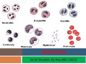 BIOLOGI DARAH MANUSIA Ns M Shodikin Sp Kep