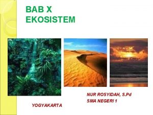 BAB X EKOSISTEM YOGYAKARTA NUR ROSYIDAH S Pd