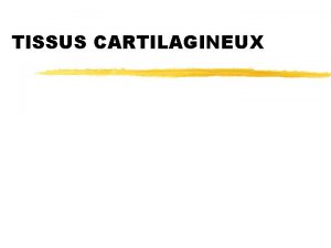 TISSUS CARTILAGINEUX Gnralits Tissu conjonctif Avasculaire Solidit Squelette