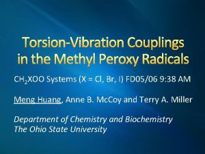 TorsionVibration Couplings in the Methyl Peroxy Radicals CH