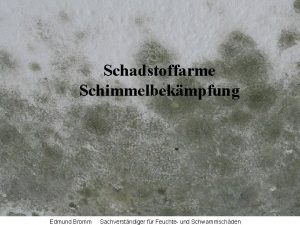 Schadstoffarme Schimmelbekmpfung Edmund Bromm Sachverstndiger fr Feuchte und