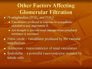 Other Factors Affecting Glomerular Filtration n Prostaglandins PGE