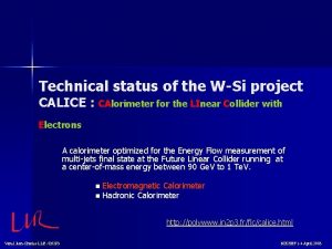 Technical status of the WSi project CALICE CAlorimeter