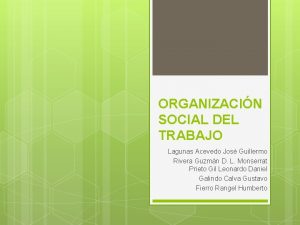 ORGANIZACIN SOCIAL DEL TRABAJO Lagunas Acevedo Jos Guillermo