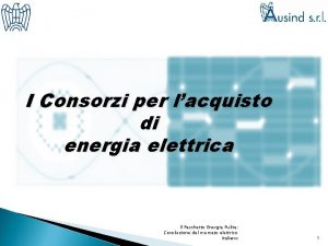 I Consorzi per lacquisto di energia elettrica Il