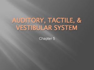 AUDITORY TACTILE VESTIBULAR SYSTEM Chapter 5 Sound The