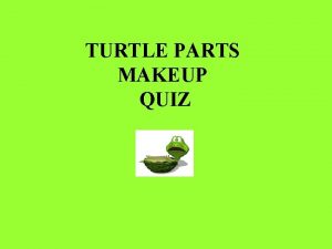 TURTLE PARTS MAKEUP QUIZ 2 3 1 2