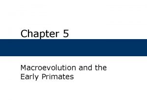 Chapter 5 Macroevolution and the Early Primates Chapter