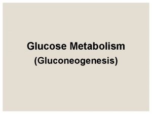 Glucose Metabolism Gluconeogenesis Objectives The importance of gluconeogenesis