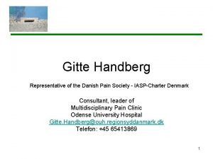 Gitte Handberg Representative of the Danish Pain Society