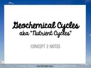 Geochemical Cycles Geochemical cycles represent the movement of