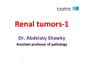 Renal tumors1 Dr Abdelaty Shawky Assistant professor of