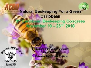 Natural Beekeeping For a Green Caribbean 9 th