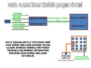 GRME TME VER TATMA DOKUNMA GEC HAFIZA GEC