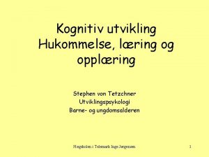 Kognitiv utvikling Hukommelse lring og opplring Stephen von