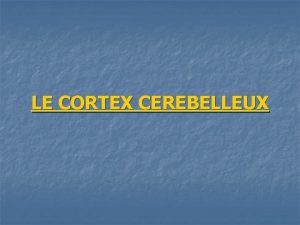 LE CORTEX CEREBELLEUX LE CORTEX CEREBELLEUX I II