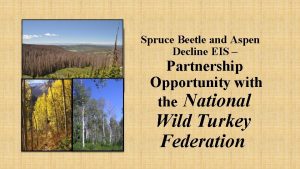 Spruce Beetle and Aspen Decline EIS Partnership Opportunity