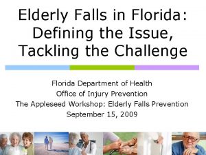 Elderly Falls in Florida Defining the Issue Tackling